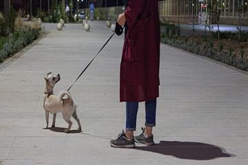 خلیل‌آبادی در گفتگو با فارس من: سگ‌گردانی در بوستان‌ها مطابق مقررات جاری کشور ممنوع است